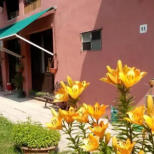 Ecogarden With Camping
